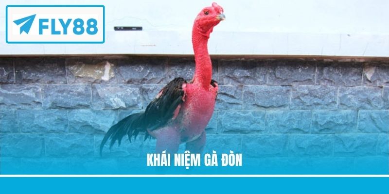 Khái niệm gà đòn